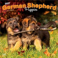 2027 16-Month Calendar German Shepherd Puppies Square Wall, Browntrout BT14193