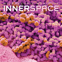 2027 16-Month Calendar Microscopic World of Innerspace Square Wall, Browntrout BT14261