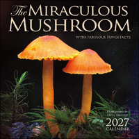 2027 Calendar The Miraculous Mushroom Square Wall, Amber Lotus AM07104