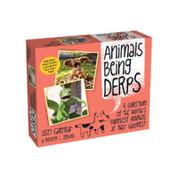 2027 Calendar Animals Being Derps Day-to-Day Boxed, Andrews McMeel AM07777
