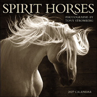 2027 Calendar Spirit Horses Square Wall, Amber Lotus AM10470