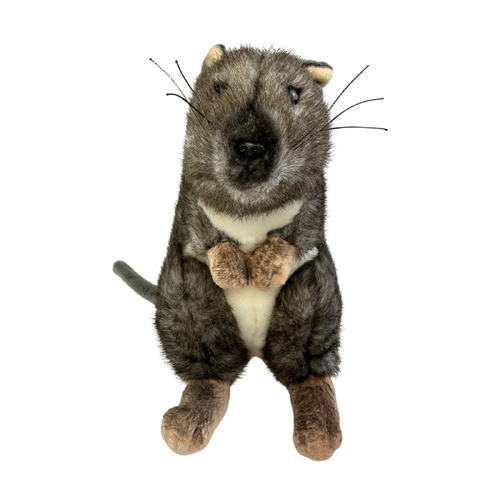 Bocchetta Plush Toys 21cm Popcorn the Potoroo Australiana Soft Toy, 1874