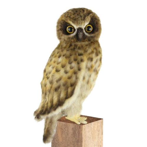Hansa Creation Plush 25cm Boobook Owl, HC8628
