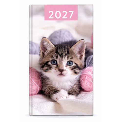 2027 Diary Design Group Fashion Kitten Slim Week to View, YCORDIA5A006