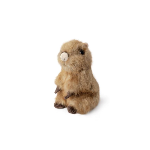 Living Nature Plush 16cm Sitting Capybara Pup, KC-AN788