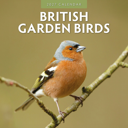 2027 16-Month Calendar British Garden Birds Square Wall, Red Robin RR271010
