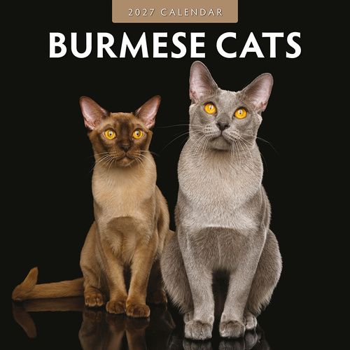2027 16-Month Calendar Burmese Cats Square Wall, Red Robin RR271012