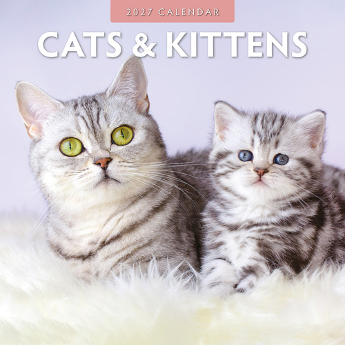 2027 16-Month Calendar Cats & Kittens Square Wall, Red Robin RR271015