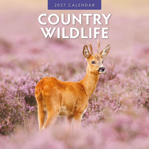 2027 16-Month Calendar Country Wildlife Square Wall, Red Robin RR271017
