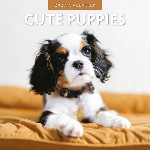 2027 16-Month Calendar Cute Puppies Square Wall, Red Robin RR271020