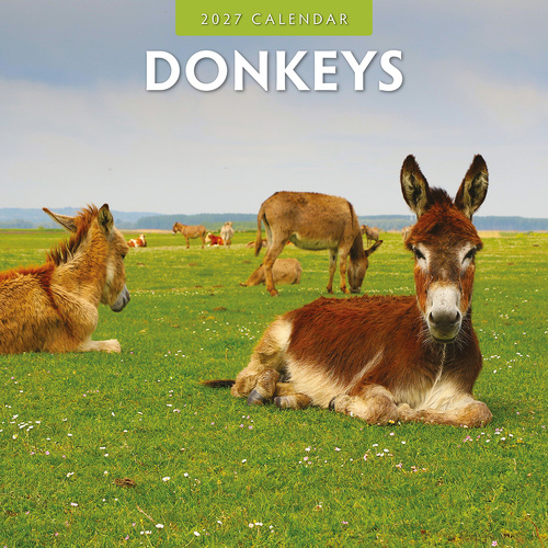 2027 16-Month Calendar Donkeys Square Wall, Red Robin RR271023