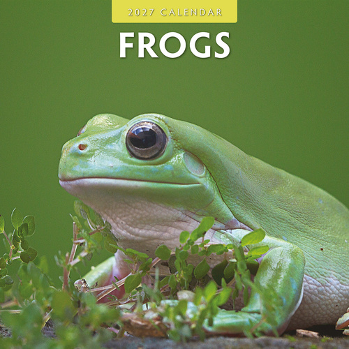 2027 16-Month Calendar Frogs Square Wall, Red Robin RR271027