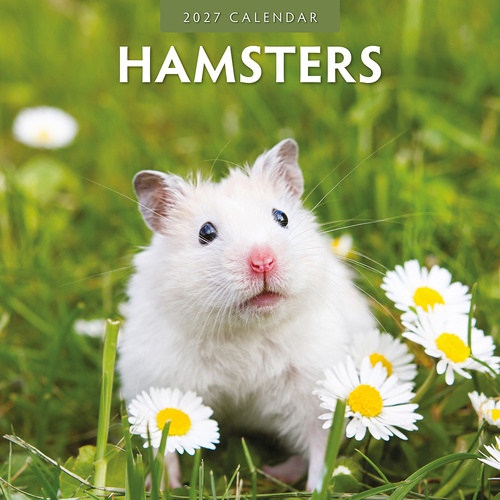2027 16-Month Calendar Hamsters Square Wall, Red Robin RR271032