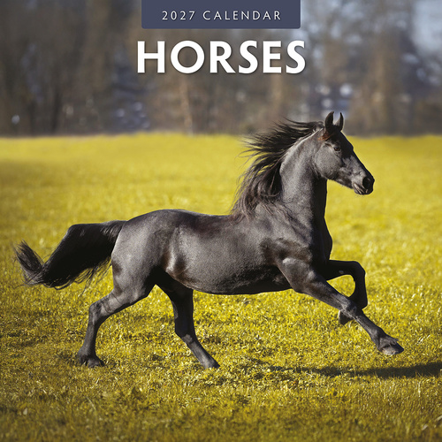 2027 16-Month Calendar Horses Square Wall, Red Robin RR271034