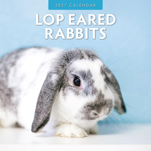 2027 16-Month Calendar Lop Eared Rabbits Square Wall, Red Robin RR271036
