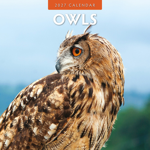 2027 16-Month Calendar Owls Square Wall, Red Robin RR271041