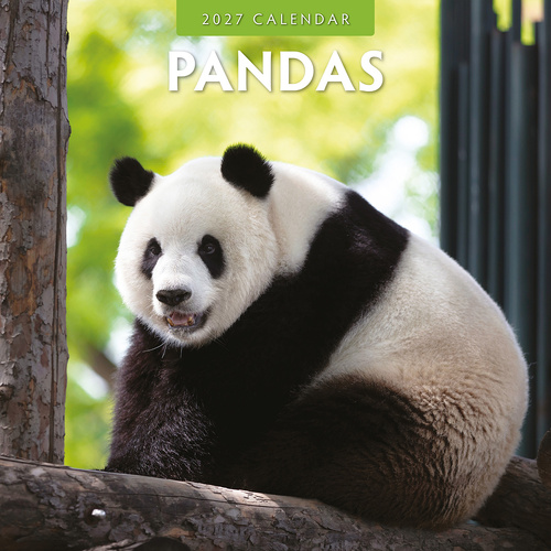 2027 16-Month Calendar Pandas Square Wall, Red Robin RR271042