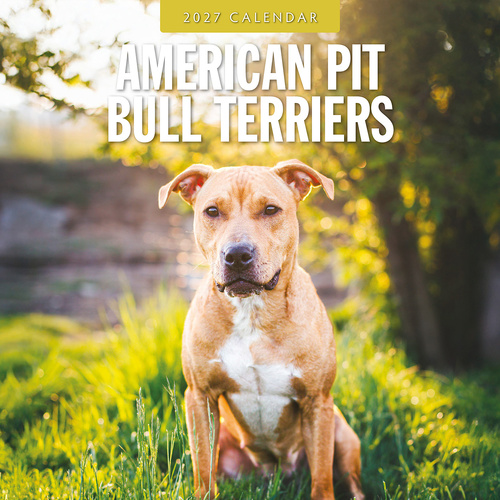 2027 16-Month Calendar American Pit Bull Terriers Square Wall, Red Robin RR271176
