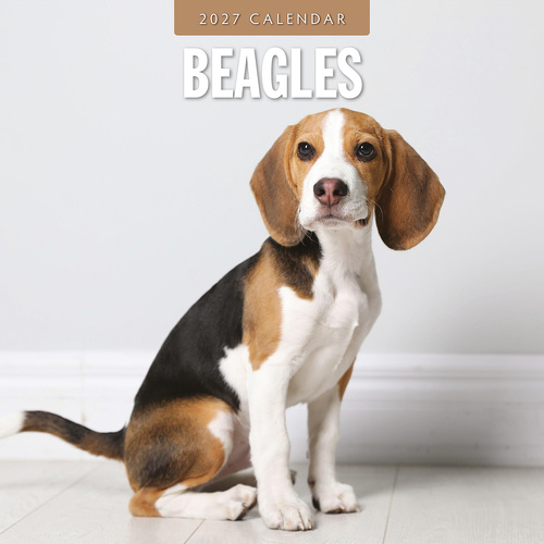 2027 16-Month Calendar Beagles Square Wall, Red Robin RR271181