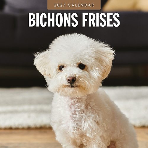 2027 16-Month Calendar Bichons Frises Square Wall, Red Robin RR271186