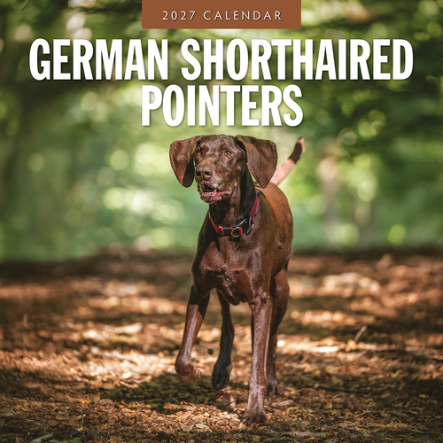 2027 16-Month Calendar German Shorthaired Pointers Square Wall, Red Robin RR271223