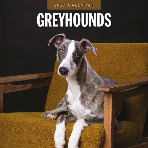 2027 16-Month Calendar Greyhounds Square Wall, Red Robin RR271229