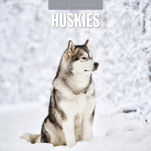 2027 16-Month Calendar Huskies Square Wall, Red Robin RR271230