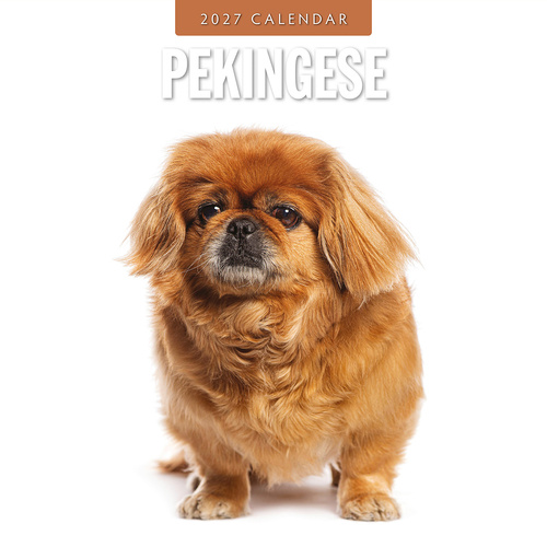 2027 16-Month Calendar Pekingese Square Wall, Red Robin RR271249