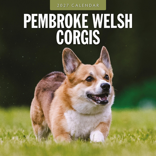 2027 16-Month Calendar Pembroke Welsh Corgis Square Wall, Red Robin RR271250