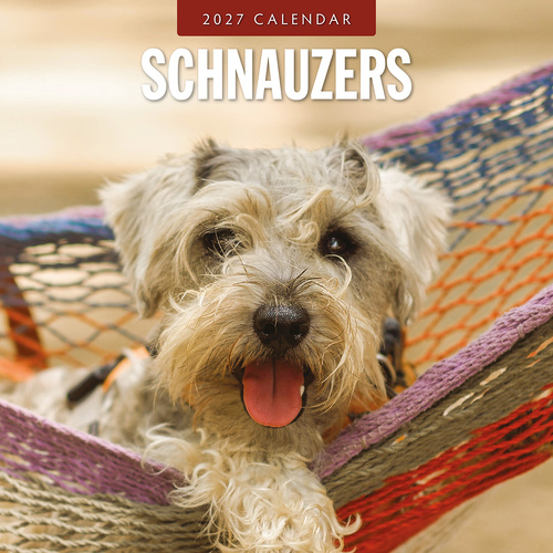 2027 16-Month Calendar Schnauzers Square Wall, Red Robin RR271261