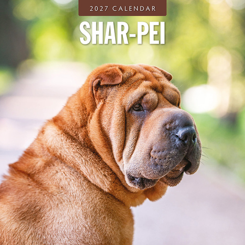 2027 16-Month Calendar Shar-Pei Square Wall, Red Robin RR271263