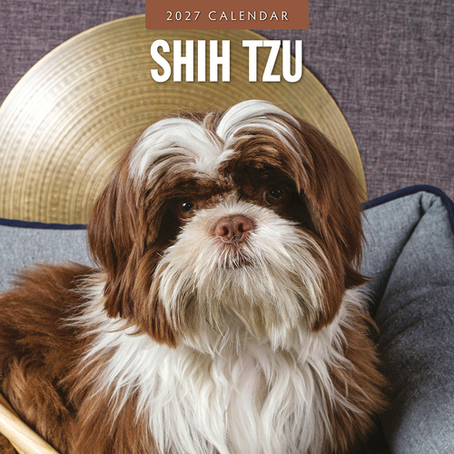 2027 16-Month Calendar Shih Tzu Square Wall, Red Robin RR271266
