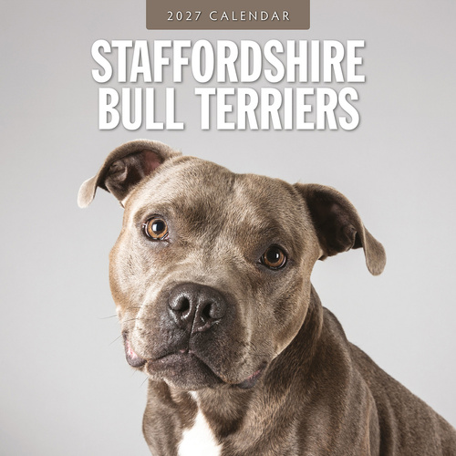 2027 16-Month Calendar Staffordshire Bull Terriers Square Wall, Red Robin RR271270