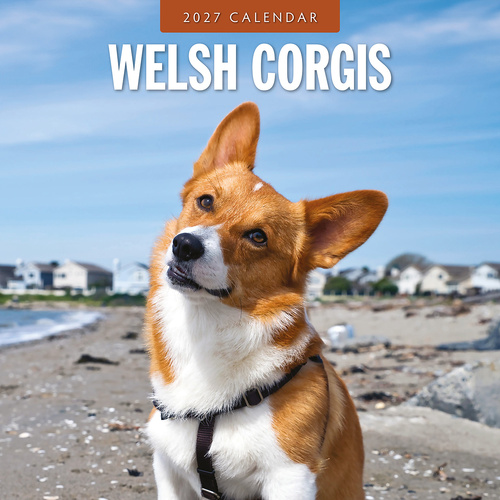 2027 16-Month Calendar Welsh Corgis Square Wall, Red Robin RR271275