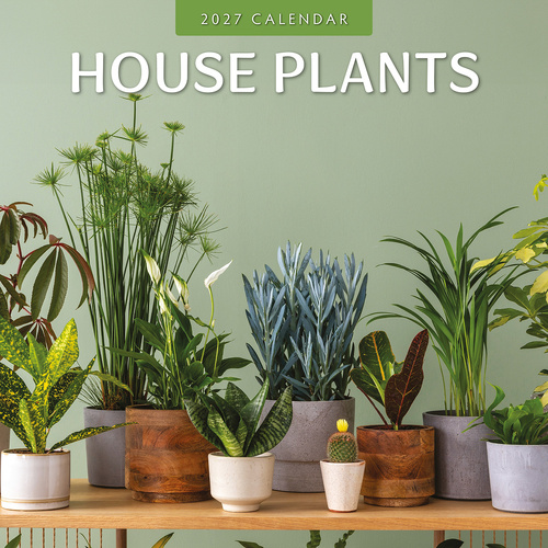 2027 16-Month Calendar House Plants Square Wall, Red Robin RR271126