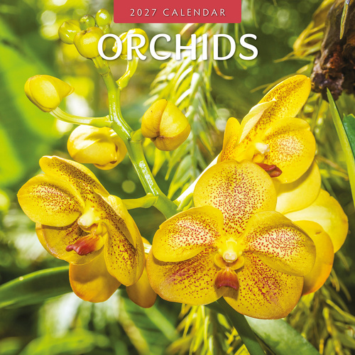 2027 16-Month Calendar Orchids Square Wall, Red Robin RR271128