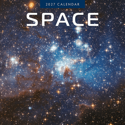 2027 16-Month Calendar Space Square Wall, Red Robin RR271308