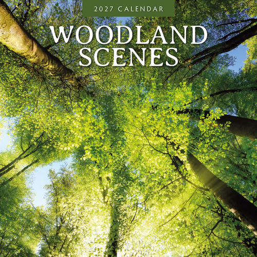 2027 16-Month Calendar Woodland Scenes Square Wall, Red Robin RR271314
