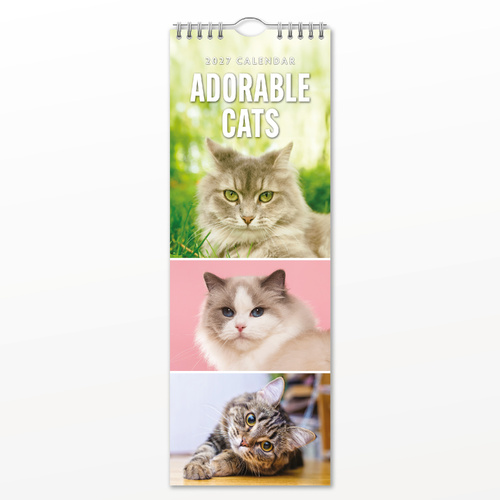 2027 16-Month Calendar Adorable Cats Slim Wall, Red Robin RR272001
