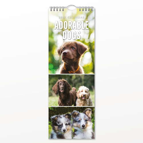 2027 16-Month Calendar Adorable Dogs Slim Wall, Red Robin RR272002