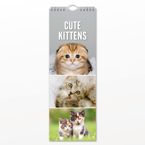 2027 16-Month Calendar Cute Kittens Slim Wall, Red Robin RR272008