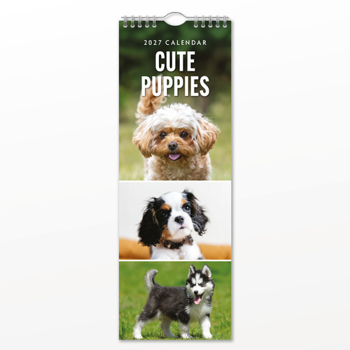 2027 16-Month Calendar Cute Puppies Slim Wall, Red Robin RR272009
