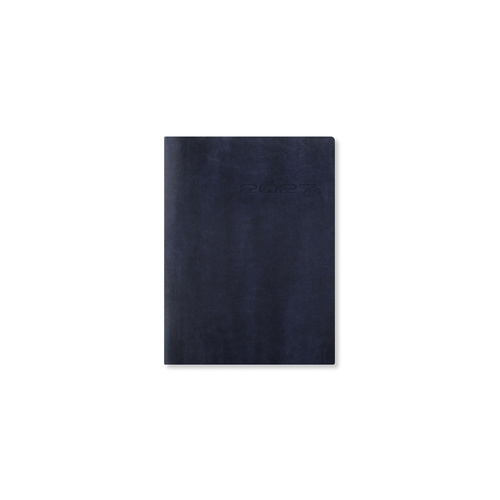 2027 Diary Letts of London Lecassa A6+ Day to Page w/ Appointments Navy, 27-081741