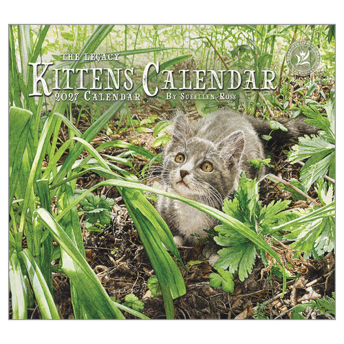 2027 Calendar The Legacy Kittens Horizontal Wall WCA113836