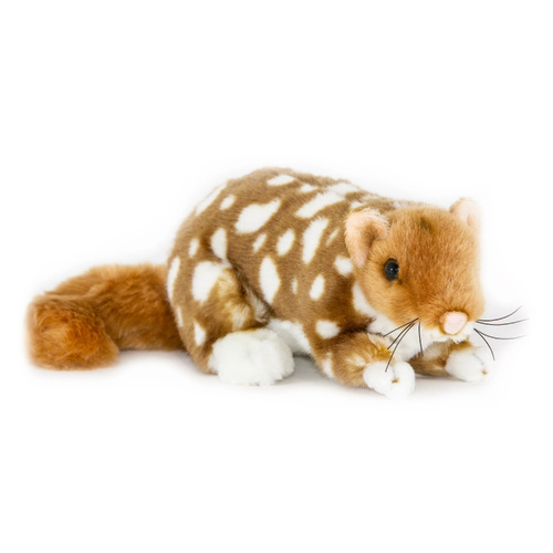 Bocchetta Plush Toys 20cm Eastern Quoll Spotty, 1871
