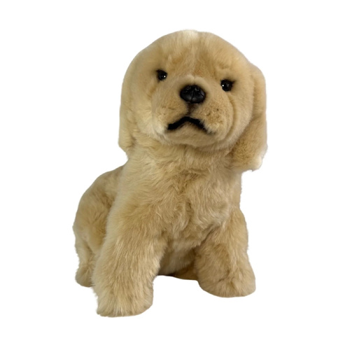 Bocchetta Plush Toys 26cm Chanel the Golden Retriever Australiana Soft Toy, 6460