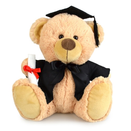 My Buddy Bear Plush 23cm Graduation Bear, Korimco 250234966