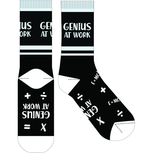 EJF Frankly Funny Novelty Socks, One Size Fits Most - Genius at Work E6336