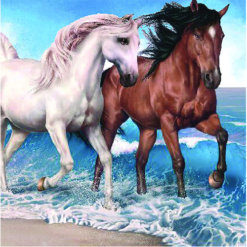 Diamond Art Beach Horses 30x40cm E7065 DIY Canvas Craft Diamond Decor