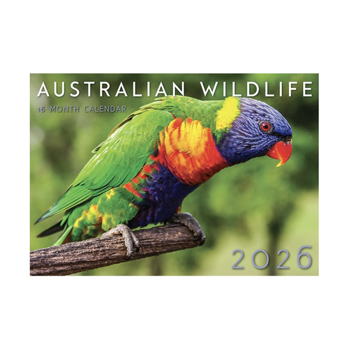 2026 Calendar Australian Wildlife 16-Month Horizontal Wall, Design Group CAL26014